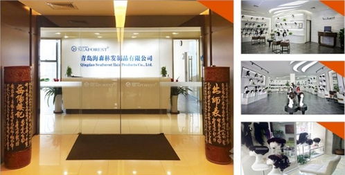 海森林假发加盟招商条件详解 携手专业设计服务，共创美丽事业